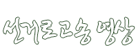 선거로고송 영상